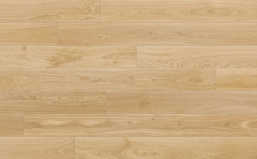 Catalina - 7